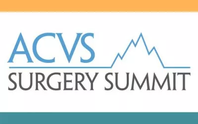 Dr. Glennon Presents at the ACVS National Symposium