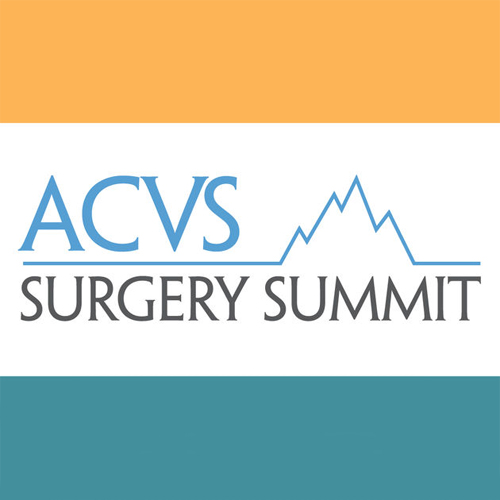 Dr. Glennon Presents at the ACVS National Symposium